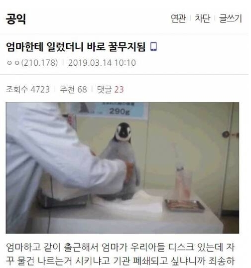 엄마 찬스 쓴 공익+결말