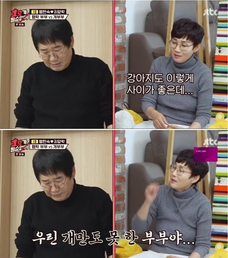 방송에서 사랑 나누는 강아지들이 부러운 팽현숙ㅋㅋㅋ