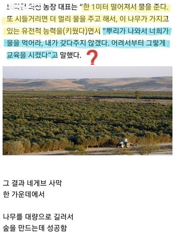 사막에서 나무를 키우는 방법ㄷㄷ 실화 임